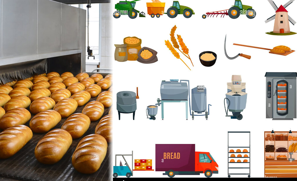 Bánh mì là một sản phẩm công nghệ phức tạp, quy trình sản xuất gồm nhiều công đoạn và thông số đặc trưng. Sau đây là quy trình làm bánh mì