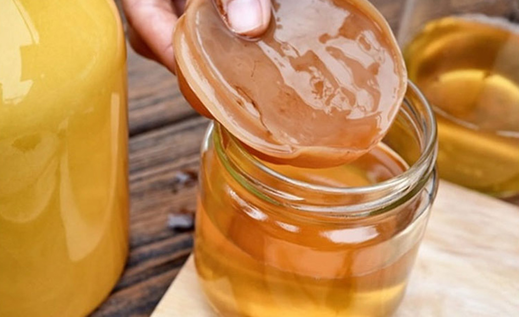Thức uống lên men Kombucha và Water Kefir không chỉ được yêu thích vì hương vị đặc biệt mà còn vì những lợi ích sức khoẻ mà chúng mang lại.